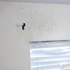 Before & After Mold Removal in Snellville, GA (1)