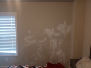 Before & After Drywall Repair & Interior Painting in Lawrenceville, GA (1)